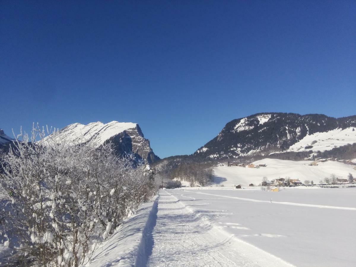 Gaestehaus Pfandl Au (Vorarlberg) 외부 사진