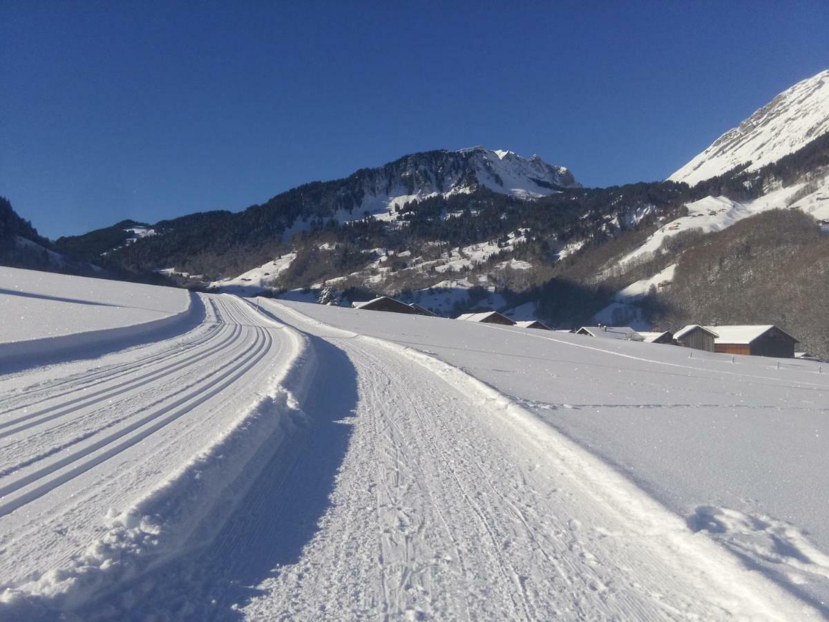 Gaestehaus Pfandl Au (Vorarlberg) 외부 사진